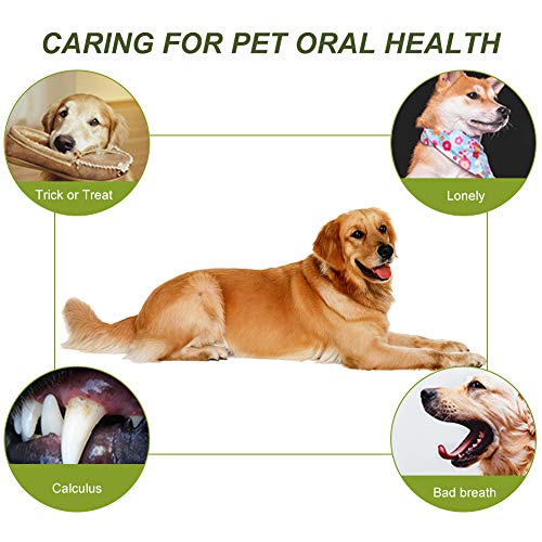 CBROSEY Cepillos de Dientes para Perros,Juguetes Perro Masticar, Dog Toothbrush,Limpieza De Dientes De Perro, Cuidado Dental De Los Cachorros, Cuidado Bucal Dental para Perros