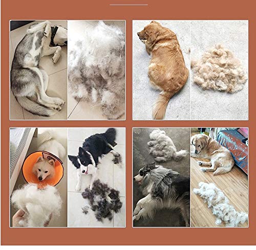 Cepillo de Pelo de Perro Nudo De Doble Cara para Perros Peine Nogal Inoxidable Nudo Abierto Rastrillo Cuchillo Productos De Aseo para Mascotas Peine para Perro 2