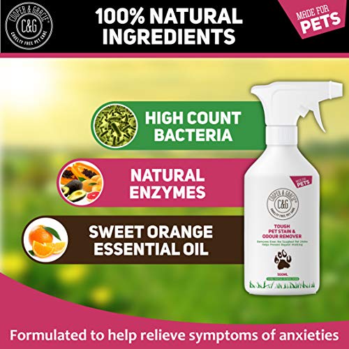C&G Pets | Rígida para eliminar manchas y olores de mascotas 1 litro | Fórmula a base de plantas alto recuento de bacterias enzimas naturales | Antibacteriano antihongos evita marcas
