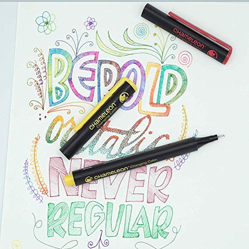 Chameleon Fineliners Colores primarios - Juego de 6