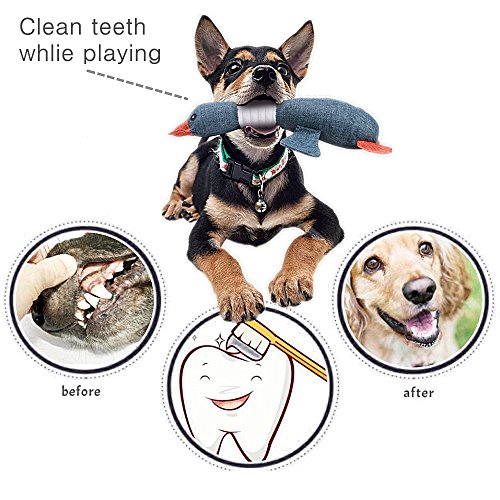 Chickwin 1PC Mordedor con Sonidos para Perro Pato Dientes Limpios Peluche Juguete (Azul)