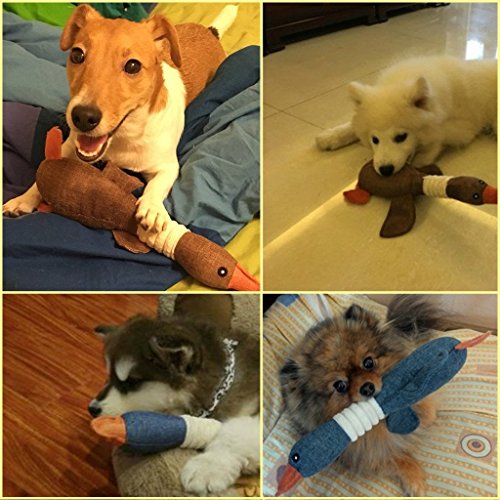 Chickwin 1PC Mordedor con Sonidos para Perro Pato Dientes Limpios Peluche Juguete (Azul)