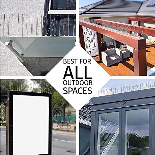 Coil.c - Juego de protectores antipalomas de acero inoxidable para paredes de vallas (50 cm, para mantener alejados a todos los pájaros), Ein, 1 unidad