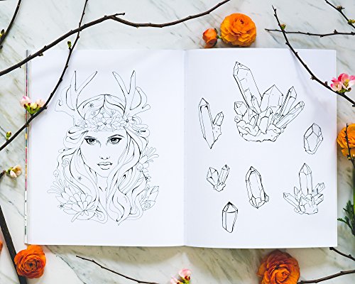 Color Workshop: A Step-by-Step Guide to Creating Artistic Effects