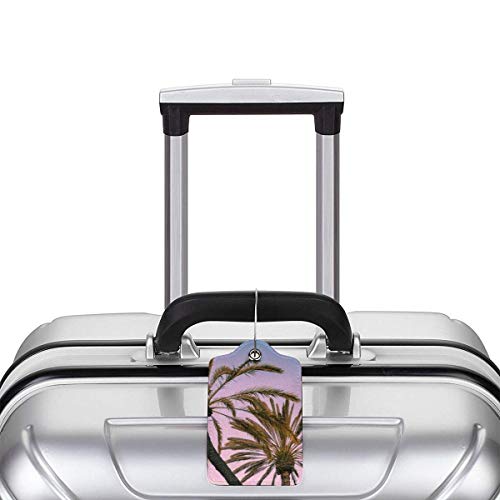 Colorido gatito playa brillante coco Lage etiquetas bolsa pu cuero maleta etiquetas diseño viaje con cubierta trasera privacidad W/acero bucles