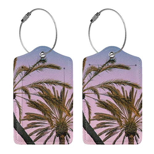 Colorido gatito playa brillante coco Lage etiquetas bolsa pu cuero maleta etiquetas diseño viaje con cubierta trasera privacidad W/acero bucles