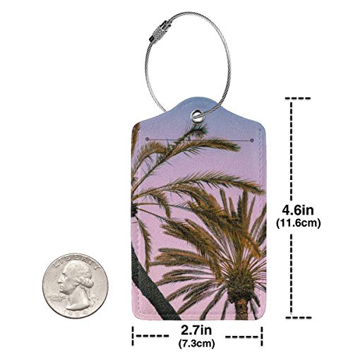 Colorido gatito playa brillante coco Lage etiquetas bolsa pu cuero maleta etiquetas diseño viaje con cubierta trasera privacidad W/acero bucles