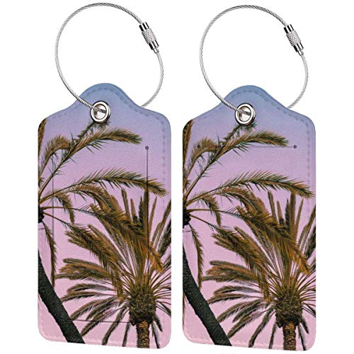 Colorido gatito playa brillante coco Lage etiquetas bolsa pu cuero maleta etiquetas diseño viaje con cubierta trasera privacidad W/acero bucles