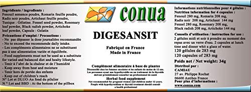 Complex suplemento dietético natural Hinojo Romero Alcachofa rábano negro 120 cápsulas de 285 mg Facilitar el funcionamiento del intestino y la digestión reduce los efectos de la hinchazón que le ofrecen un vientre plano en polvo vitaminas adelgazar