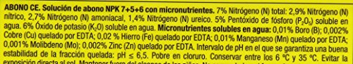 Compo - Fertilizante universal - Para plantas en interior, balcón y terraza - 1.3 l