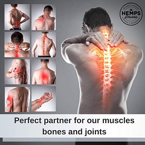 Crema de Masaje Deportivo - Crema Efecto Calor Muscular para la Preparacion y Recuperación de Musculos y Articulaciones | CBD | Arnica | Calendula | Harpagofito - 100 ml | Hemps Pharma - CBD SPORT 370