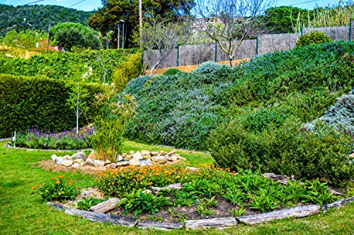 Crema dia a la Manzanilla y Rosa mosqueta Cosmétics Giura 50 cc.