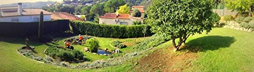 Crema dia a la Manzanilla y Rosa mosqueta Cosmétics Giura 50 cc.