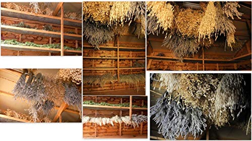 Crema dia a la Manzanilla y Rosa mosqueta Cosmétics Giura 50 cc.