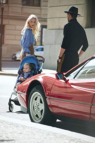 CYBEX Gold - Silla de Paseo Eezy S, Plegable con una Mano, Ultraligera, desde los 6 Meses hasta 17 kg (aprox. 4 años), Trust