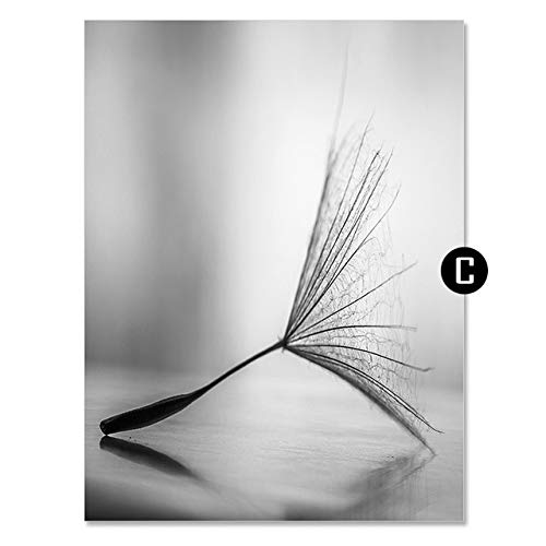 Dandelion Flower Canvas Painting Modern White and White Art Print Picture Home Living Room Abstract Wall Poster 30X40cm