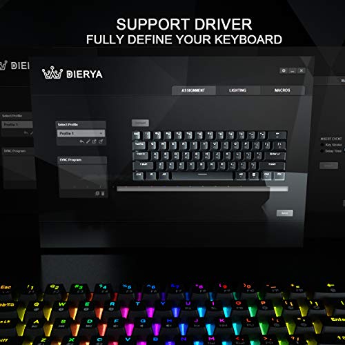 Dierya DK61E 60% Teclado mecánico para Juegos, Teclado PBT con Cable retroiluminado RGB Impermeable Tipo-C Intercambiable en Caliente Compacto 61 Teclas Teclado de computadora (Interruptor Azul)
