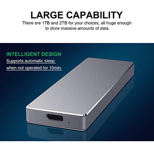Disco Duro Externo 1tb Type C USB 3.1 Disco Duro Externo para Mac, PC,MacBook, Chromebook, Xbox (1tb, Plata)