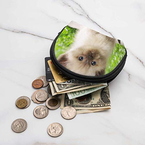 DJNGN Oxford paño dulce gato jardín hd monedero pequeño cremallera monedero bolsa de cambio mini cosméticos cosméticos maquillaje bolsas organizador bolsas multiusos