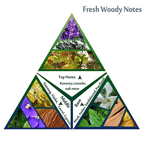 DQM Perfume para Hombre, Fragancia Ligera de Larga duración, fragancias Frescas para Estudiantes, perfumes Naturales de Madera, 50 ml / 1,7 oz