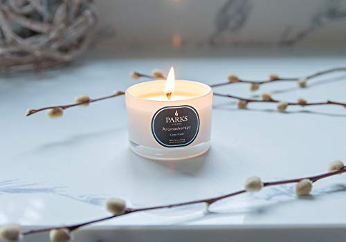 DSL Parks London - Vela de aromaterapia 100% de Cera Natural - Vela de aromaterapia de Cera de Aroma Natural - Mecha única de Larga duración de 20 Horas de Limpieza - Aroma Fresco de Lino