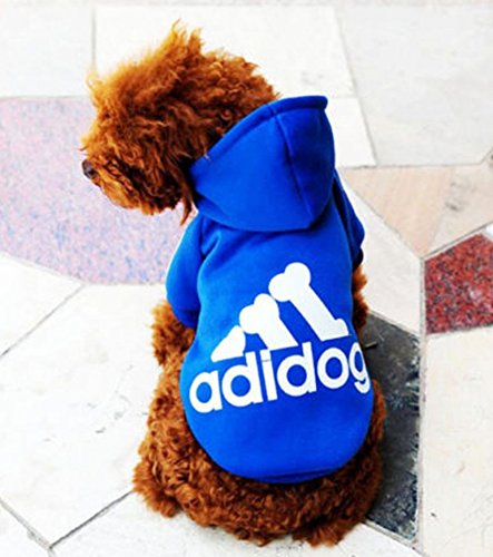 Ducomi Adidog - Sudadera con Capucha para Perros en Algodón Suave - Costuras Resistentes - Disponibles de XS a 8XL - Se envía Desde España (7XL, Azul)