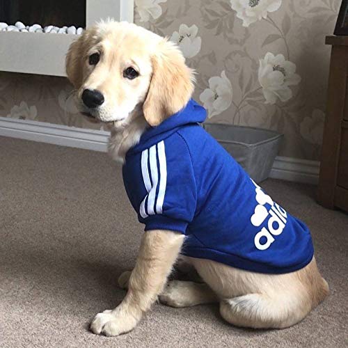 Ducomi Adidog - Sudadera con Capucha para Perros en Algodón Suave - Costuras Resistentes - Disponibles de XS a 8XL - Se envía Desde España (7XL, Azul)