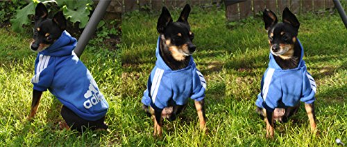 Ducomi Adidog - Sudadera con Capucha para Perros en Algodón Suave - Costuras Resistentes - Disponibles de XS a 8XL - Se envía Desde España (7XL, Azul)