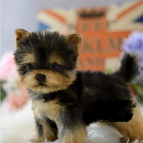 Dušial 9 Inch Realistic Dog Simulation Toy Dog Puppy Lifelike Stuffed Companion Toy Pet Dog Handcrafted Cute Simulation Pet Dog Soft Stuffed Plush Toy Puppy Stuffed Animal Kids Boys Girls Doll Gifts