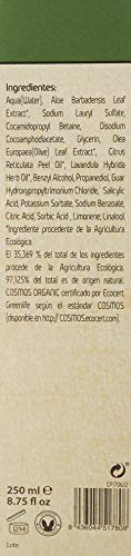 Ecobeauty Champu Aceite Oliva Ecocert Bio 250Ml Ecobeauty 1 Unidad 250 g