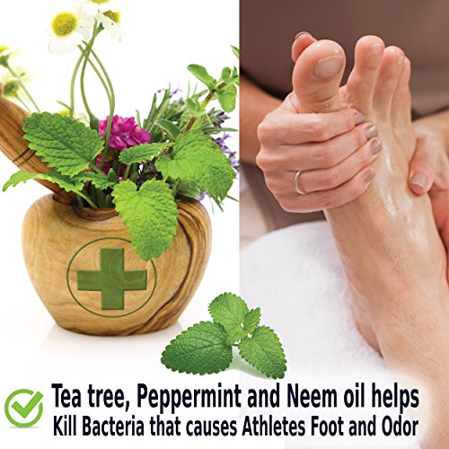 Elite Sportz Foot Spray for Shoes and Smelly Feet - Desodorante de zapatos - Fast Working Shoe Odor Spray and Foot Odor Eliminator - Aroma a Menta Fresca.