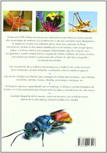 Enciclopedia Completa de los Insectos (Grandes Obras)