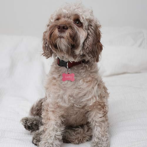 engravo Etiqueta de Perro Hueso en Rosa 38 mm con su Grabado Personal y 2 llaveros Gratis