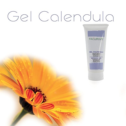 Equilibrium – Cosmética natural gel Calendula 100 ml Bio