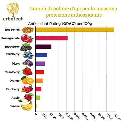 ERBOTECH polen de abeja 100 g, Multivitamínico con un alto contenido de vitaminas B1, B2, B3, C, Hierro, Zinc y Magnesio Alta calidad 100% puro, Hecho en Italia, Materia prima para jalea real
