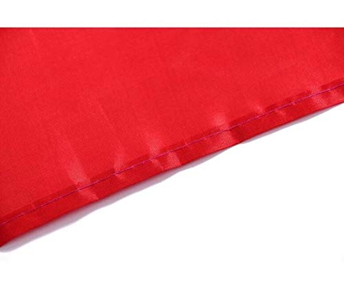 Ericraft Bandera de España Grande 90x150cms Bandera de España balcón para Exterior Reforzada y con 2 Ojales metálicos, Bandera España Grande Spanish Flag