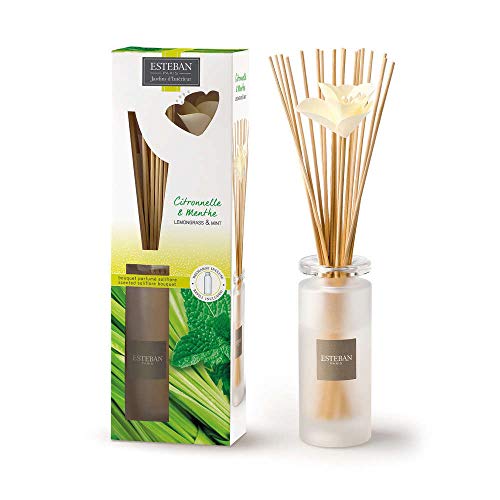 Esteban Paris - Ambientador de mikado con fragancia de citronela y menta, 75 ml