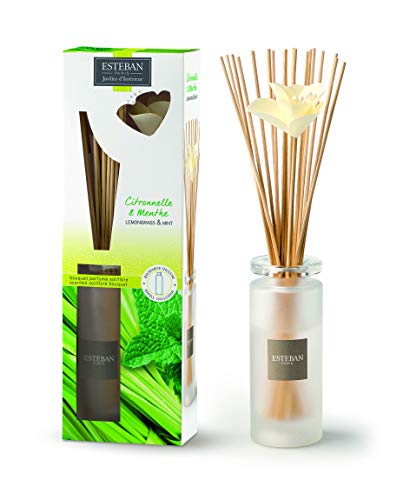 Esteban Paris - Ambientador de mikado con fragancia de citronela y menta, 75 ml