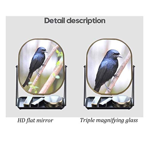 Estilo Nórdico De Escritorio De Alta Definición De La Belleza Del Maquillaje Del Espejo Del Espejo De Escritorio Con Espejos De Maquillaje Hierro Forjado Base De Almacenamiento Cosmética Espejo De Alt