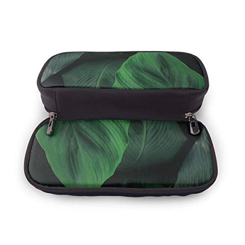Estuche Escolar de Gran Capacidad, Bolsa de Lápiz Organizador para Material Papelería con Cremallera Doble Hojas tropicales con textura verde oscuro para Hombre Mujer Estudiante en Escuela Oficina