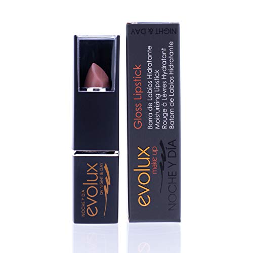 Evolux Gloss Lipstick, Barra de labios hidratante Brillo Color N.17