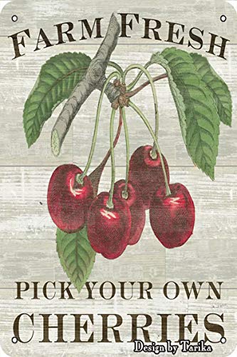 Farm Fresh Pick Your Own Cherries Vintage Look Metal 20 x 30 cm Decoración Placa Placa Placa Placa Placa para el Hogar Cocina Baño Granja Jardín Garaje Inspiración Citas Decoración de Pared