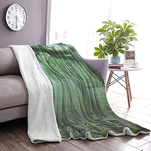 Farm House Decor Collection Laurel Forest In Portugal Foggy October Day Wild Magical Exotic Nature Photo Print Green Personalized Fashion Lamb Blanket
