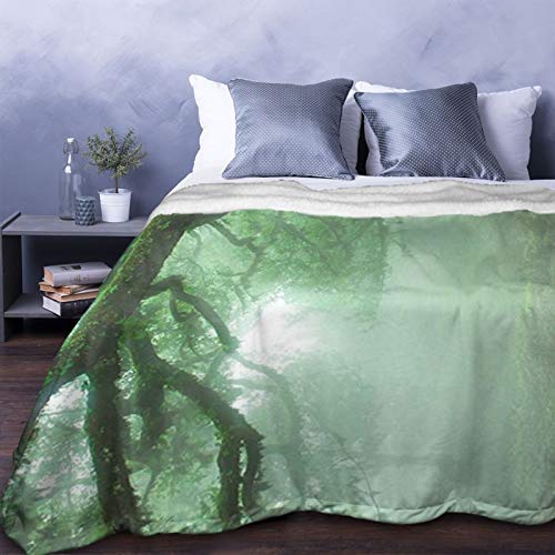 Farm House Decor Collection Laurel Forest In Portugal Foggy October Day Wild Magical Exotic Nature Photo Print Green Personalized Fashion Lamb Blanket