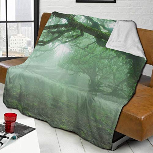 Farm House Decor Collection Laurel Forest In Portugal Foggy October Day Wild Magical Exotic Nature Photo Print Green Personalized Fashion Lamb Blanket