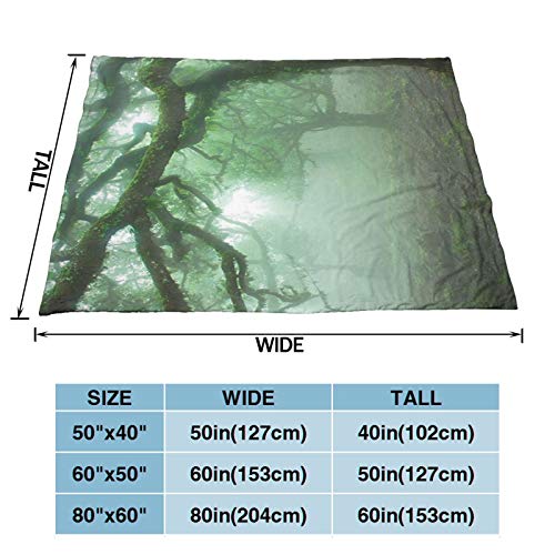 Farm House Decor Collection Laurel Forest In Portugal Foggy October Day Wild Magical Exotic Nature Photo Print Green Personalized Fashion Lamb Blanket