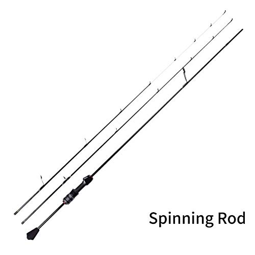 FISHYY Caña De Pescar LW 0.6-8G Ul Caña De Pesca Casting Spinning Rod Ultralight Carbon Fiber Hollow + Solid 2 Tips Bait Casting Roces