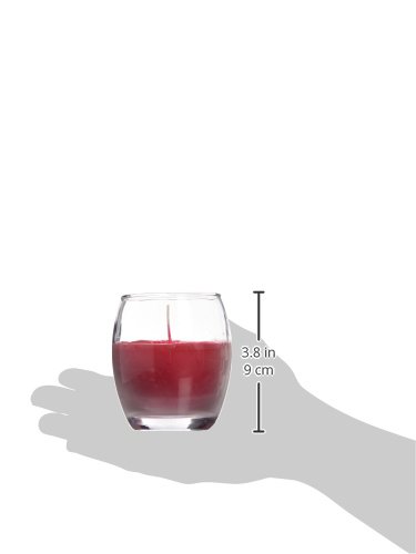 Flower 20572 20572-Gel Repelente de Moscas Vela, No Aplica, 8x8x9 cm