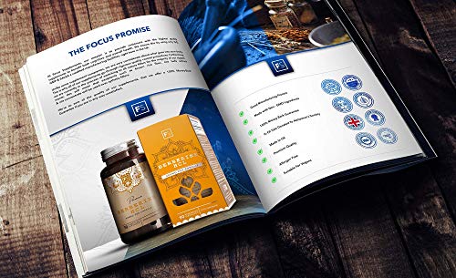 FS Berberina HCL 400mg | 90 Capsulas Veganas | Berberina con Extracto de Pimienta Negra Para una Mejor Absorción | Fabricado en Instalaciones con Licencia ISO | Sin Gluten