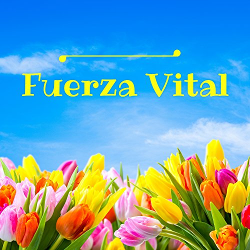 Fuerza Vital - Música Relajante para Trabajar, Ambiente Relajado con Sonidos de la Naturaleza